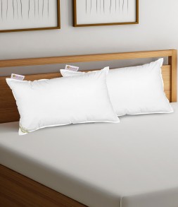 el_img2