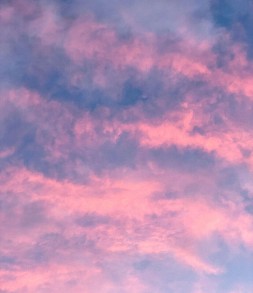 el_img2